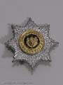 Silver Star Badge w/ Gold Center